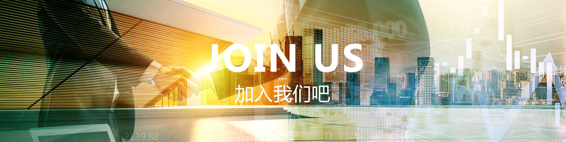 NLC电子(中国)集团