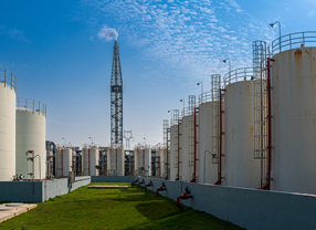 NLC电子(中国)集团