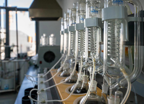 NLC电子(中国)集团