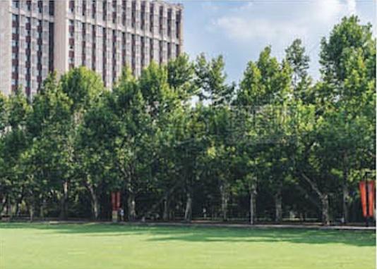 NLC电子(中国)集团