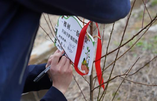 NLC电子(中国)集团