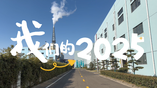 NLC电子(中国)集团