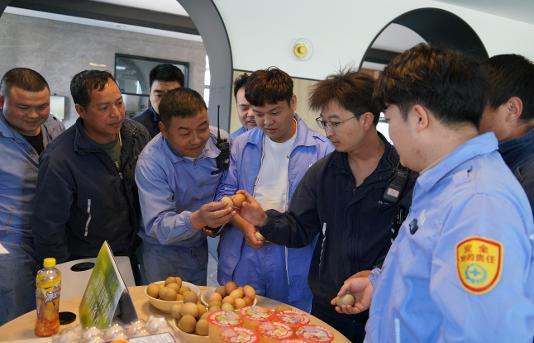 NLC电子(中国)集团
